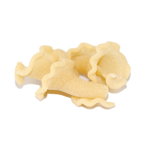 Homemade Gigli Pasta Di Bari Terramar Imports Terramar Imports