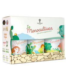 Load image into Gallery viewer, Extra Virgin Olive Oil &quot;Monocultivar&quot; Gift Set Guglielmi Terramar Imports